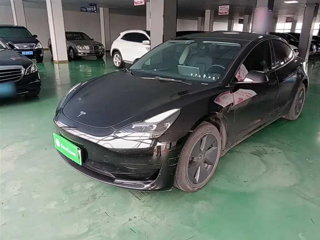 Tesla Model 3 2021 Standard Range Rear-Wheel Drive Upgrade 3D6