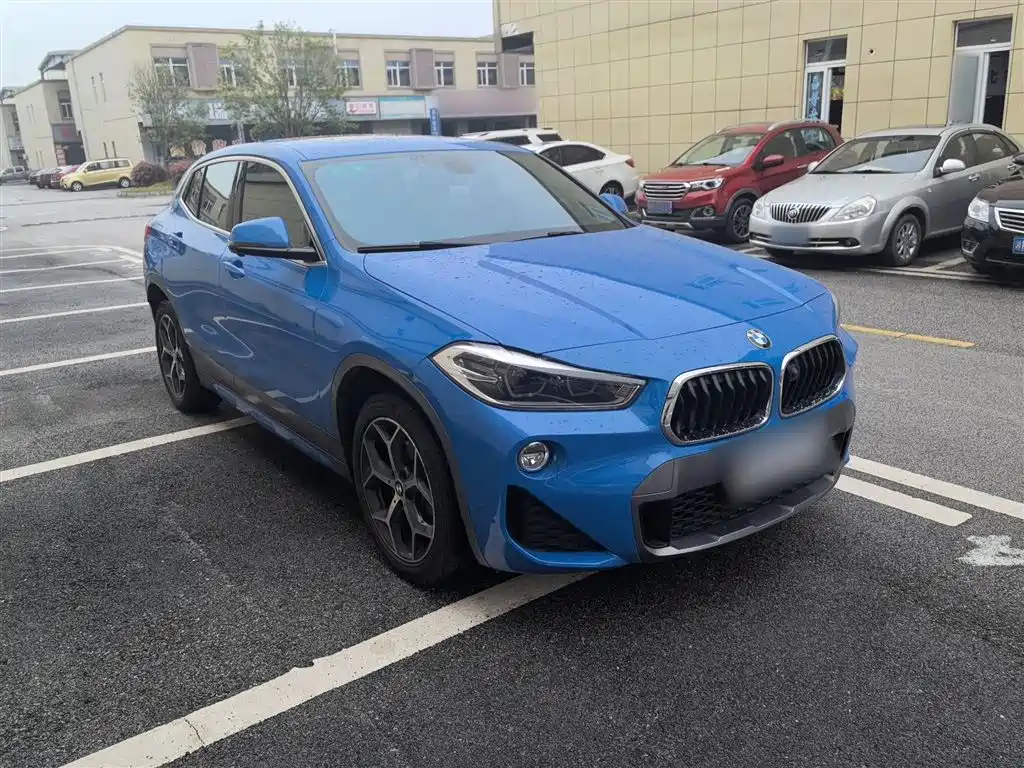 BMW X2 (Import) 2019 sDrive20i M Off-Road Package China VI фото 4