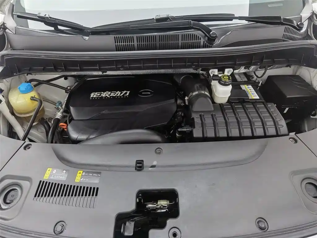 GAC Trumpchi Trumpchi M8 2023 Leading Series 390T Luxury Edition фото 6