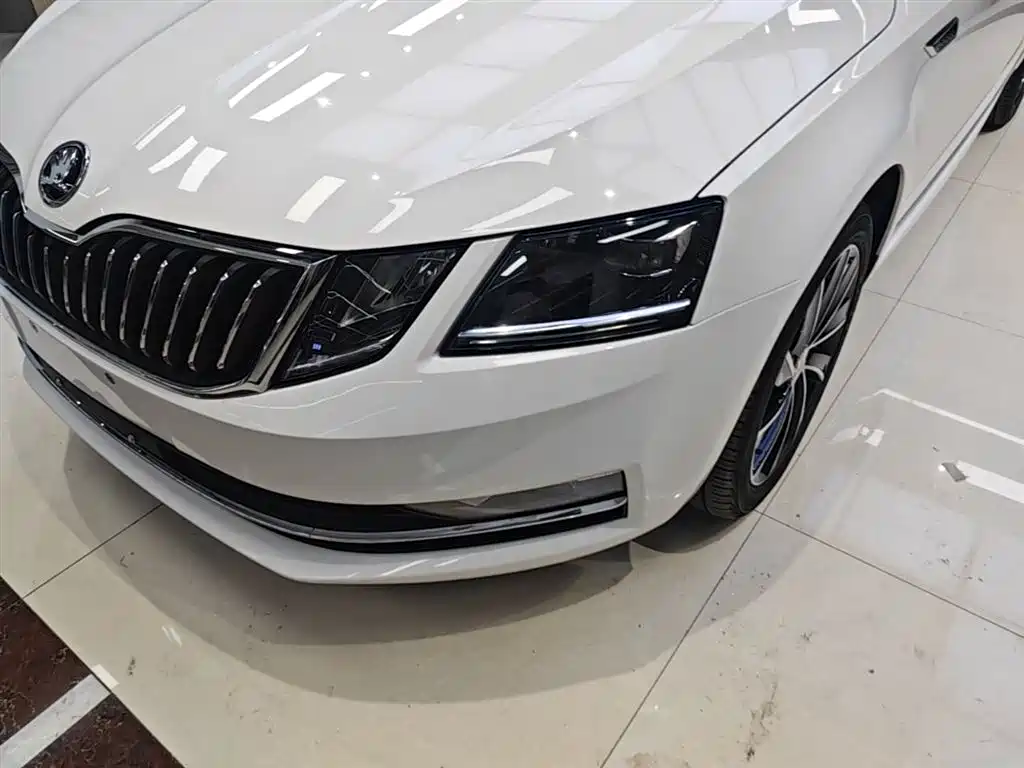 Škoda Octavia 2019 TSI280 DSG Luxury Edition фото 18