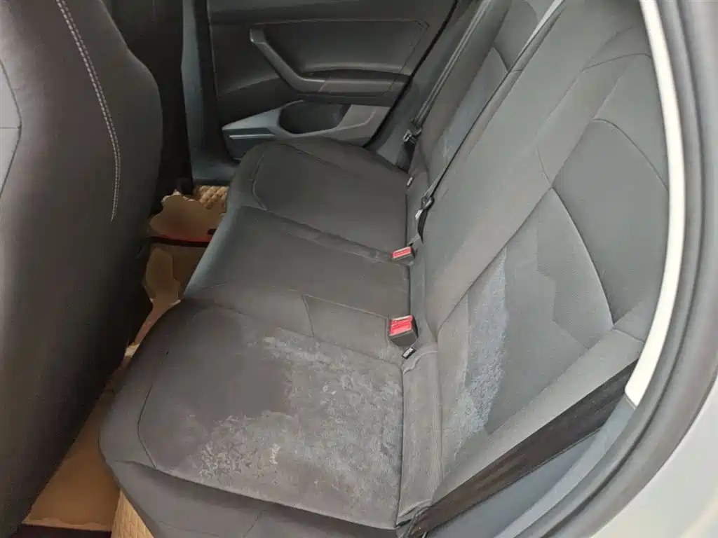 Volkswagen Polo 2019 Plus 1.5L Automatic Panorama Enjoyment Edition фото 17