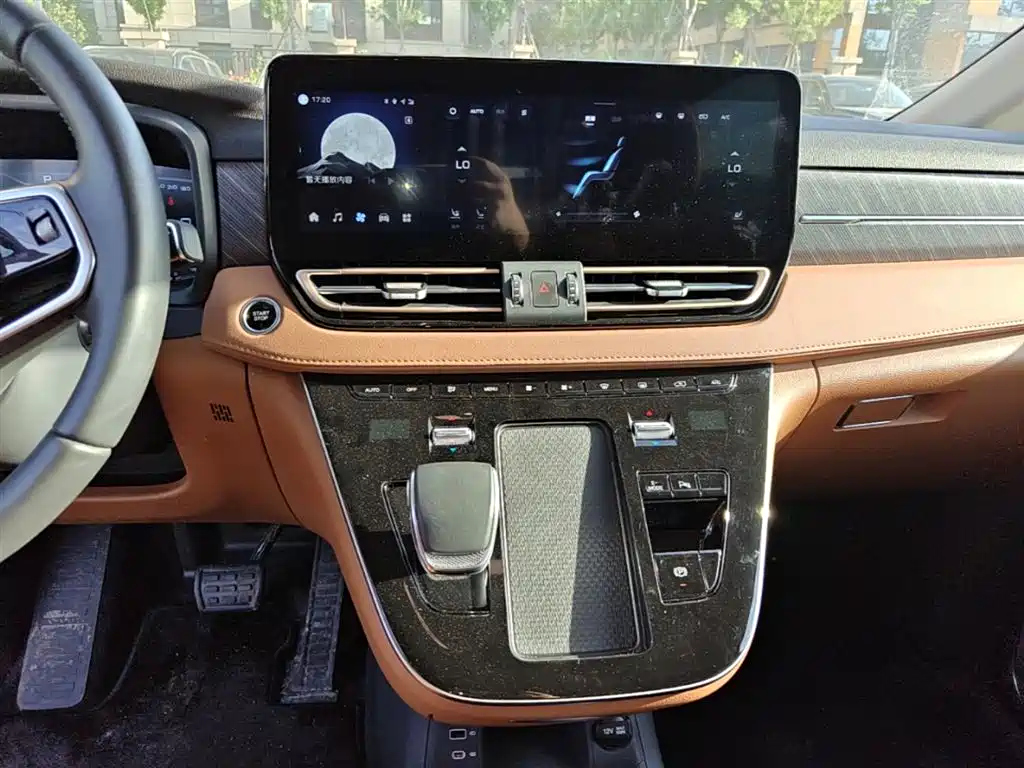 Hongqi HQ9 PHEV 2024 Model 2.0T AWD Business Edition фото 13