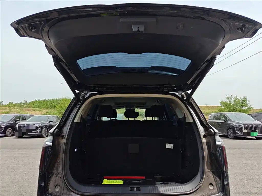Hongqi HS7 PHEV 2024 2.0T PHEV AWD Qichang Edition 7-seater фото 19