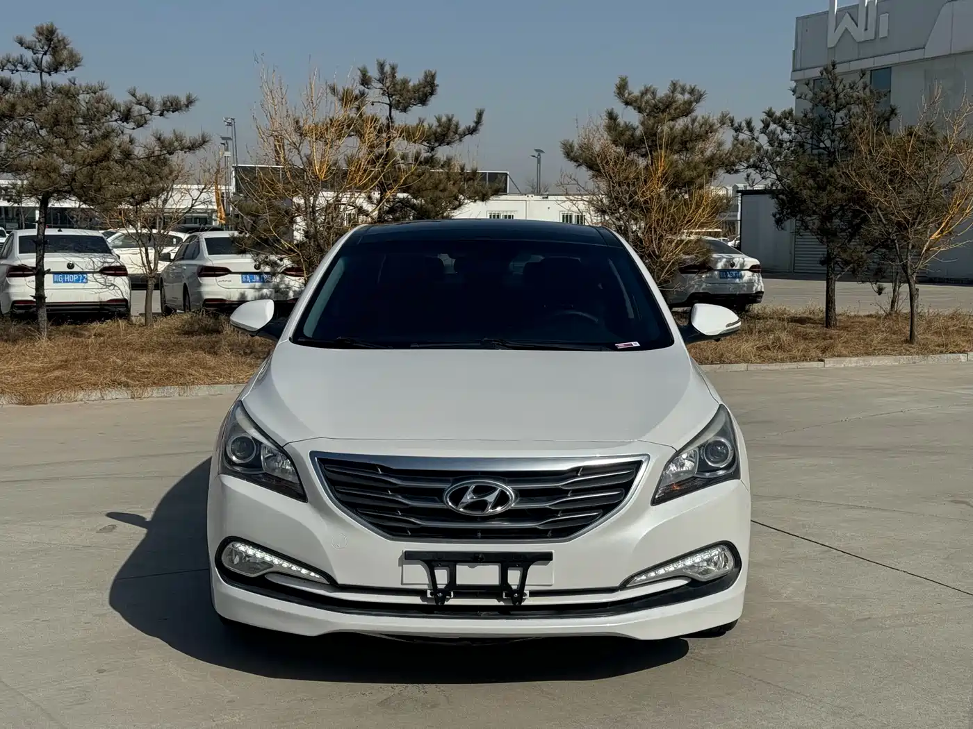 HYUNDAI NAME PICTURE