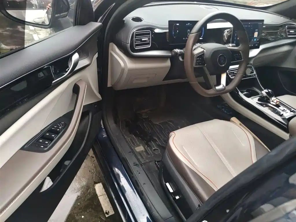 BYD Qin PLUS 2023 Champion Edition DM-i 120KM Leading Type фото 14