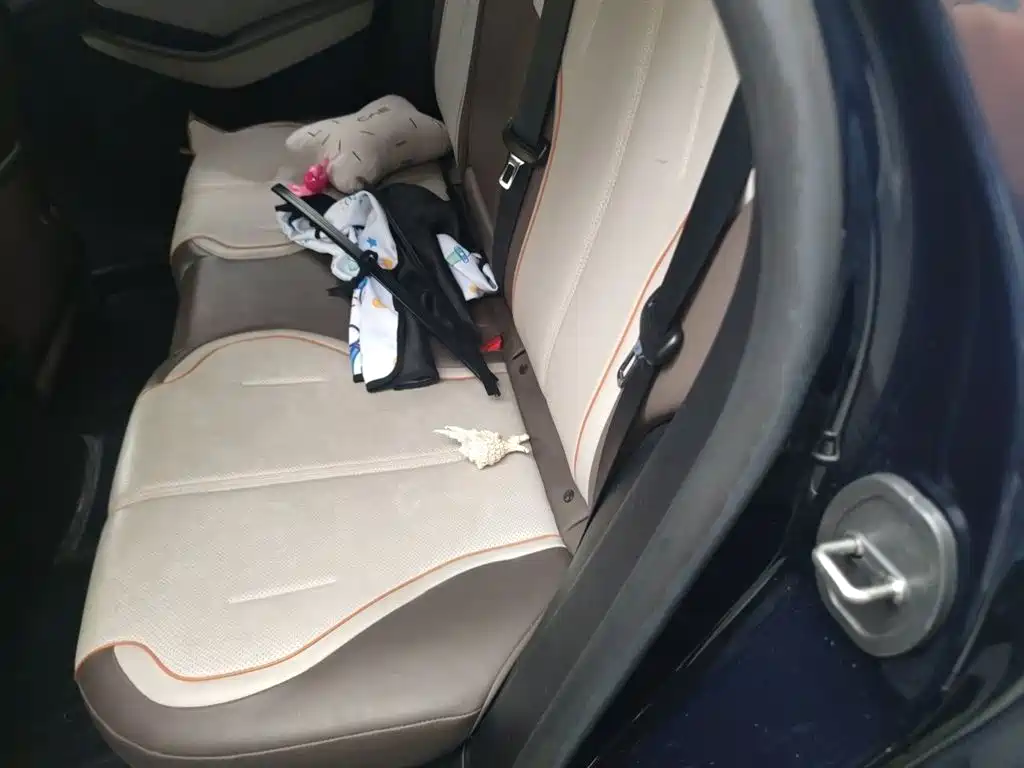 BYD Qin PLUS 2023 Champion Edition DM-i 120KM Leading Type фото 15