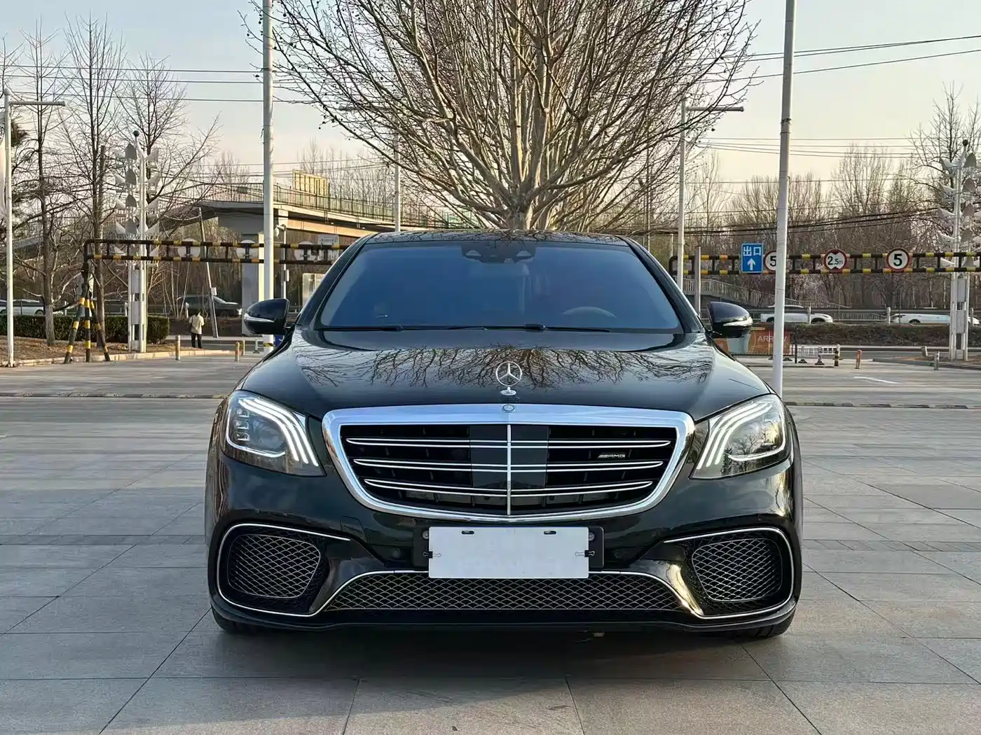 Mercedes-Benz S-Class AMG 2014 AMG S 65 L фото 5