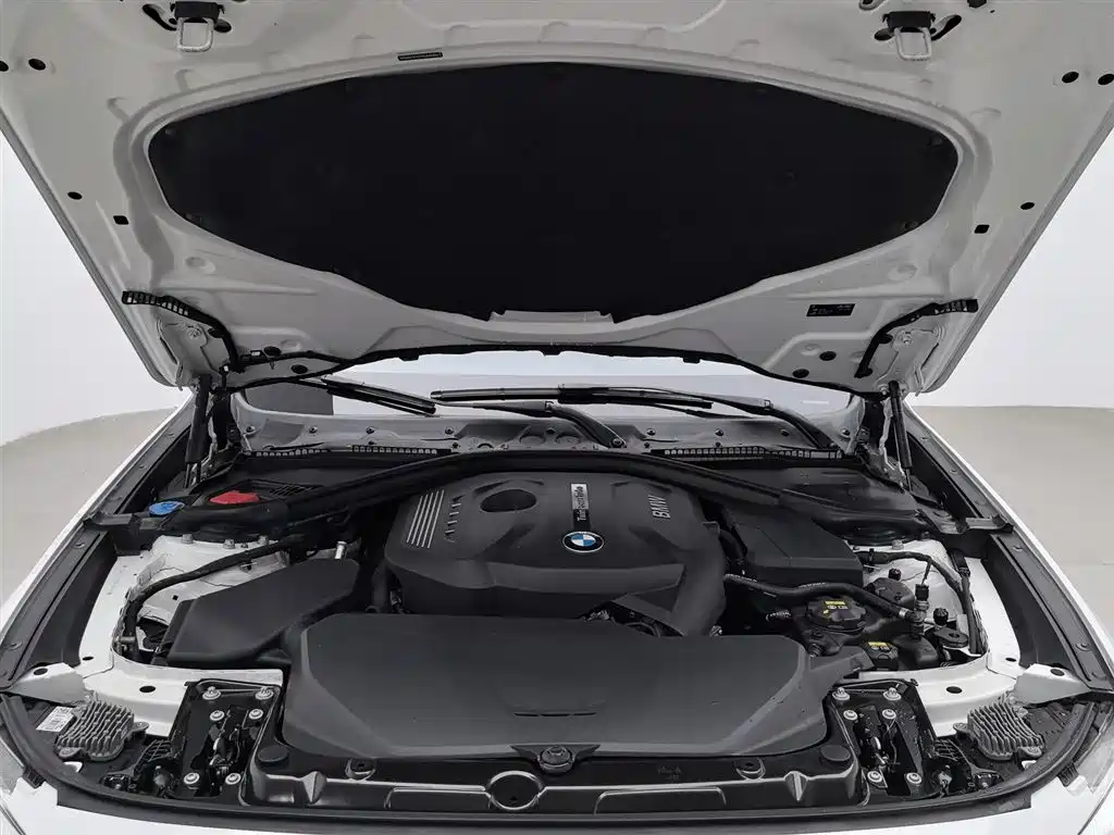BMW 3 Series GT 2017 330i xDrive M Sport фото 6