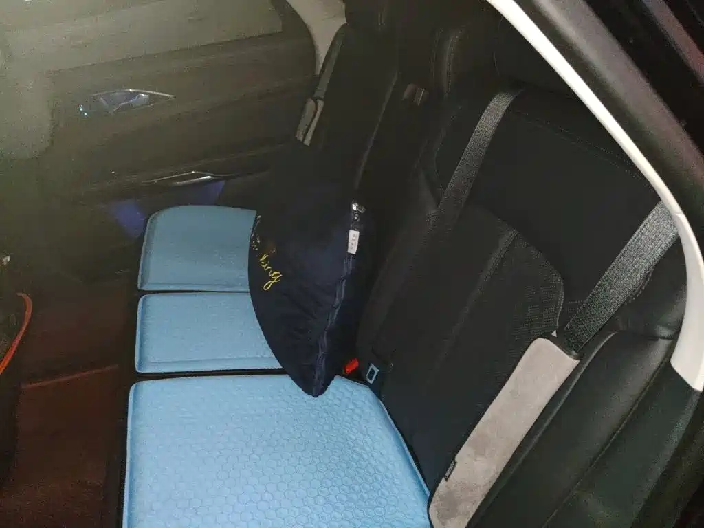 Ford Taurus 2021 2019 EcoBoost 245 Premium Edition