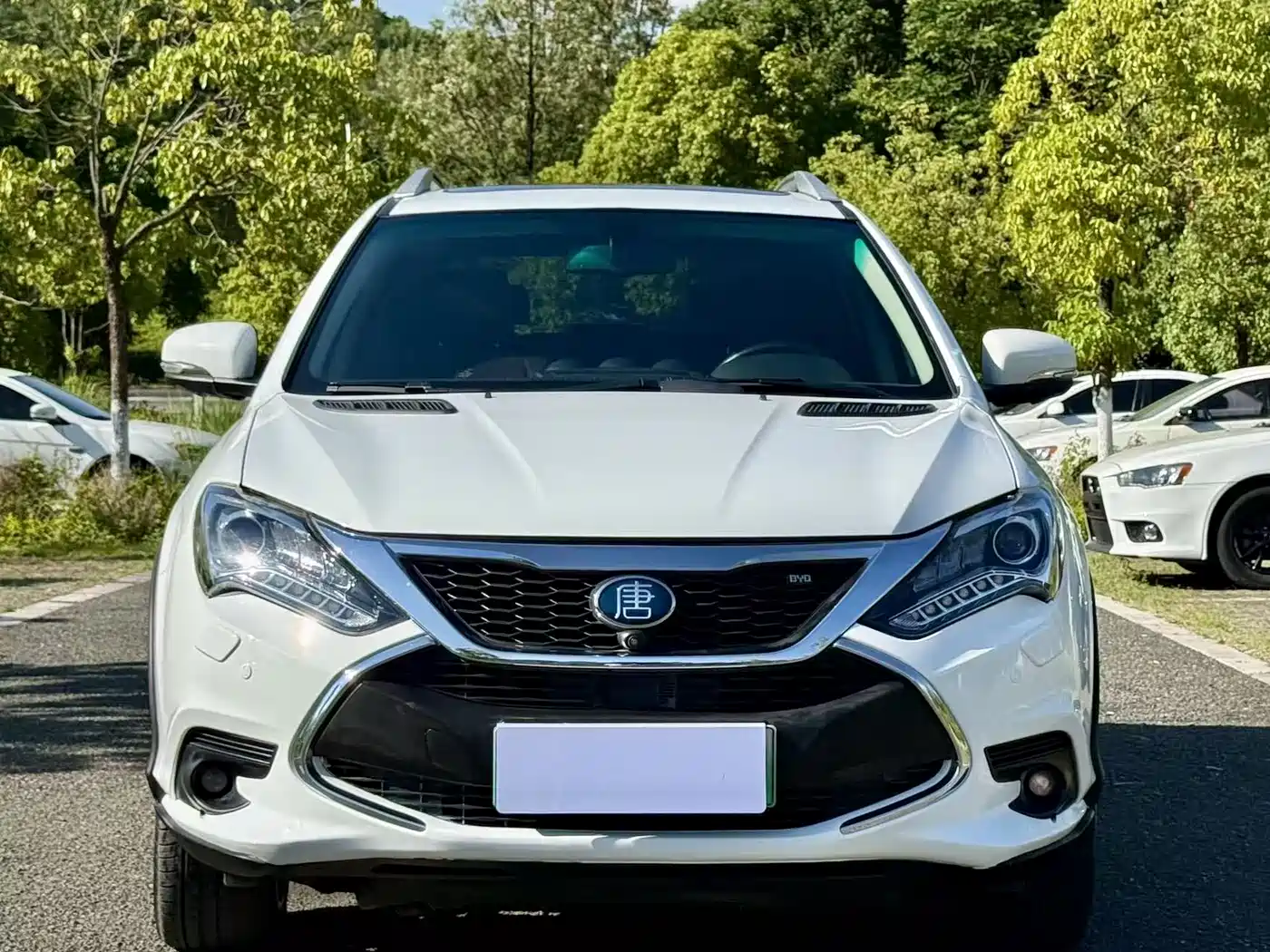 BYD Tang New Energy 2017 Model 2.0T Full-time 4WD Elegance фото 2