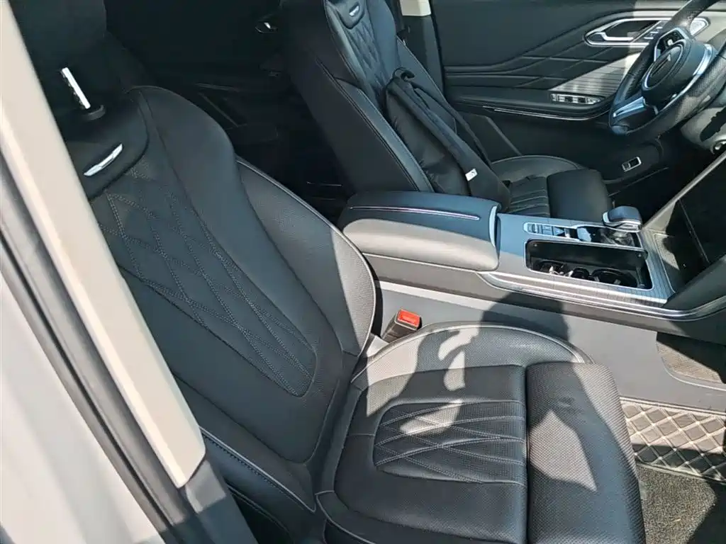 Hongqi HS7 PHEV 2024 2.0T PHEV AWD Flagship 6-Seater фото 25