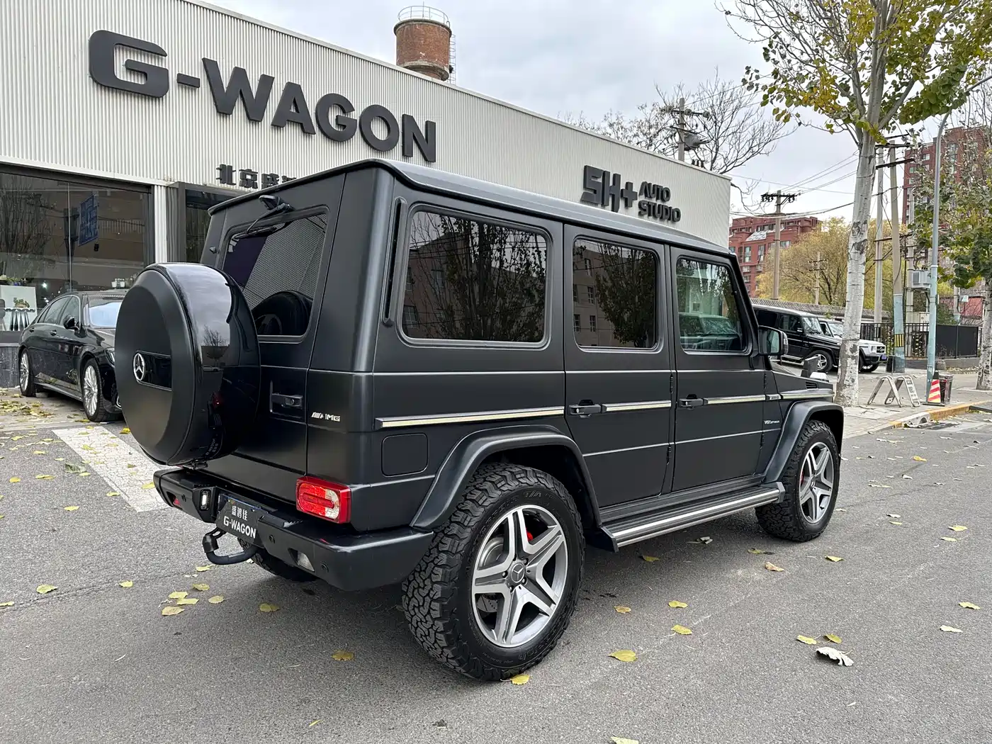 Mercedes-Benz G-Class AMG 2013 AMG G 65 фото 3