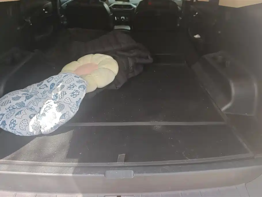 DONGFENG SCENERY S560