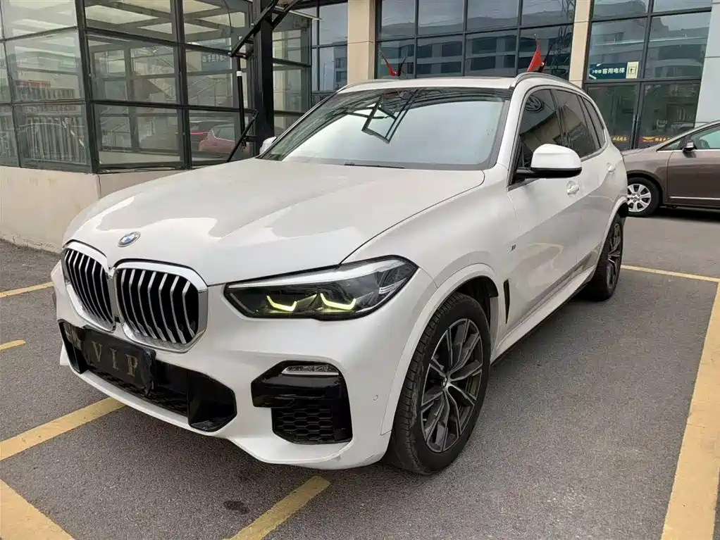 BMW X5 (Import) 2019 xDrive30i M Sport Package