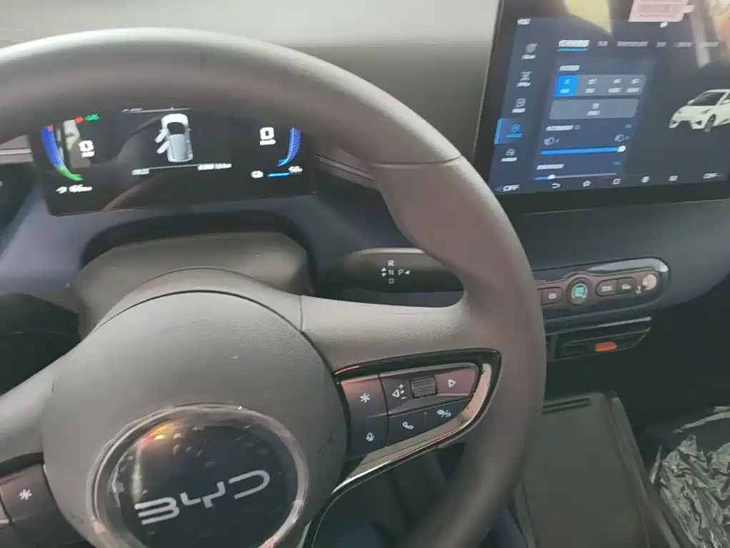 BYD Seagull 2026 2025 Smart Drive Edition 305km Vitality Version