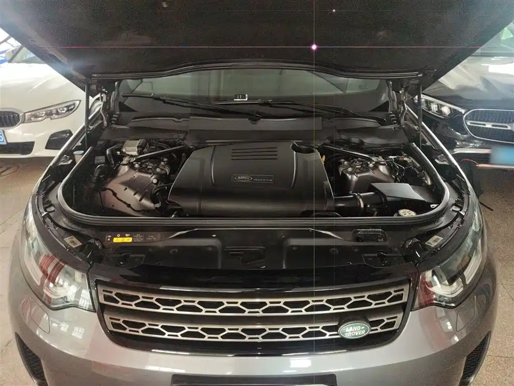 Land Rover Discovery 2019 2.0T SE фото 13