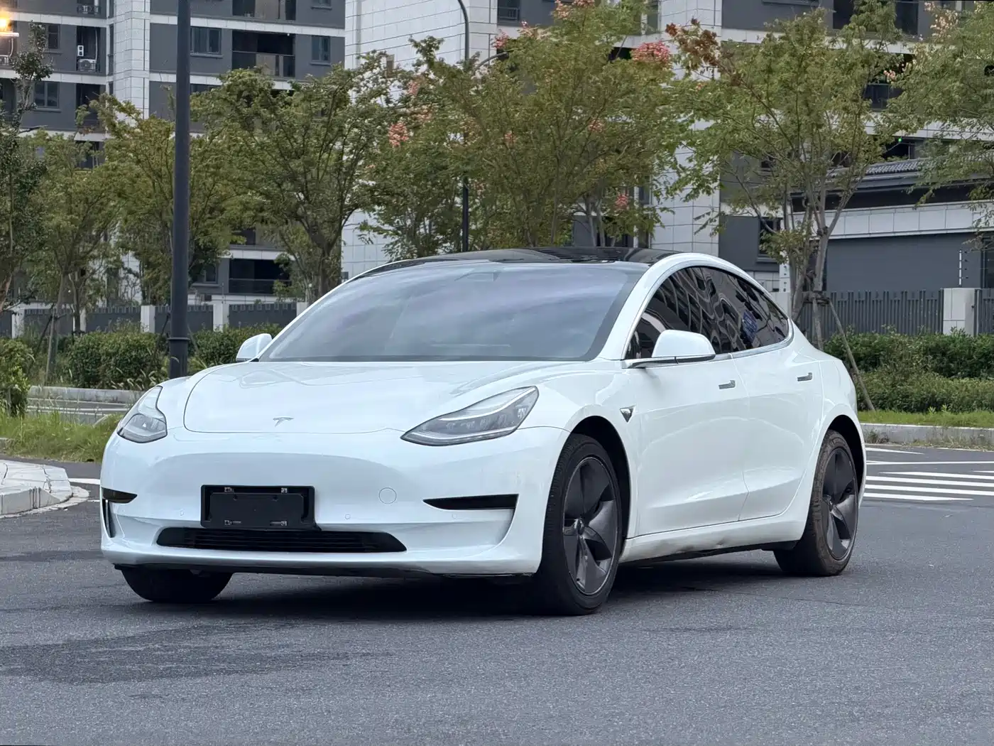 Tesla Model 3 (Import) 2020 2019 Standard Range RWD Upgraded Edition