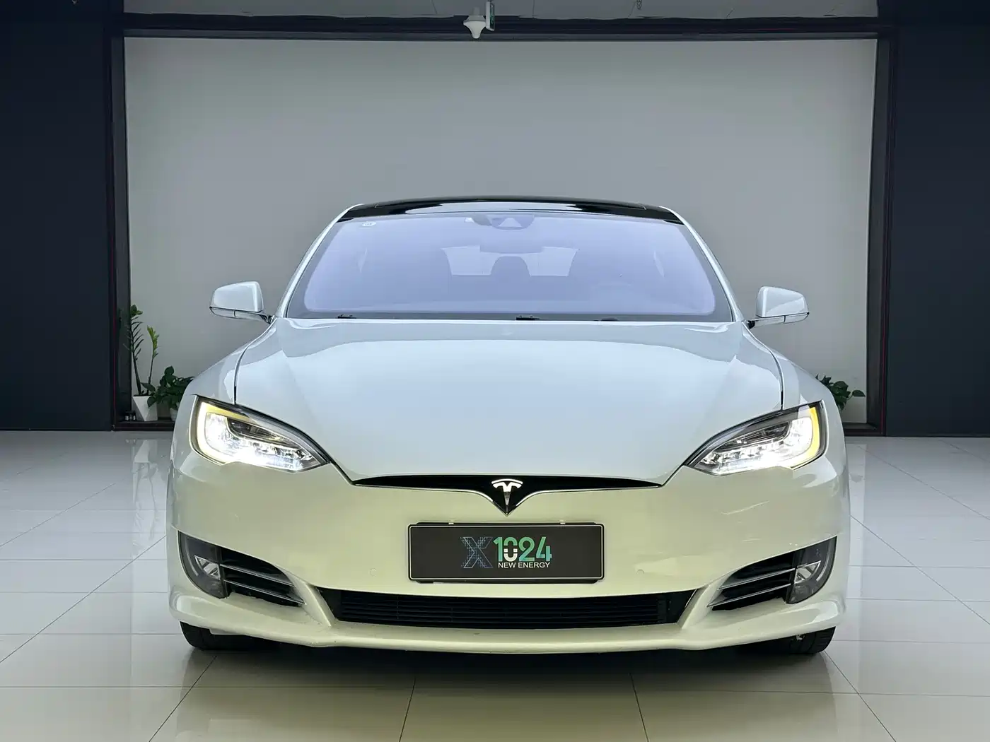 TESLA MODEL S