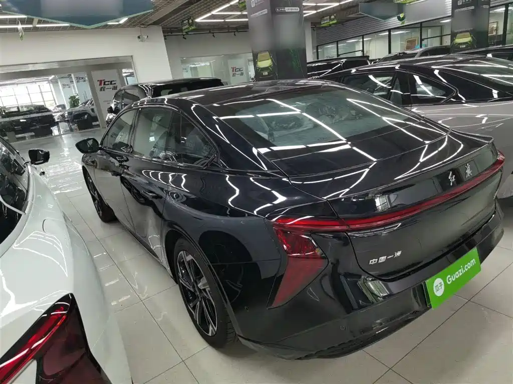 Hongqi EH7 2024 640 Pro+ AWD Edition фото 5
