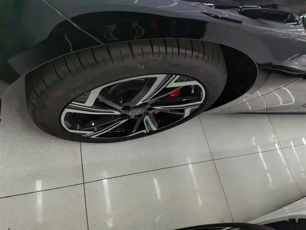 Hongqi EH7 2024 640 Pro+ AWD Edition фото 23