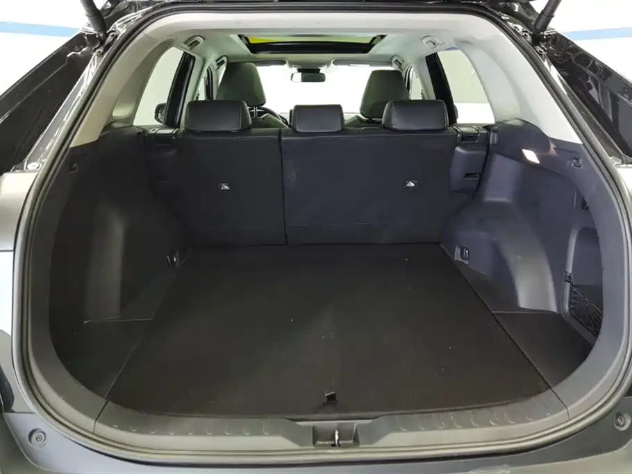 Toyota RAV4 Rongfang 2024 2.0L CVT FWD Style Plus Edition фото 4