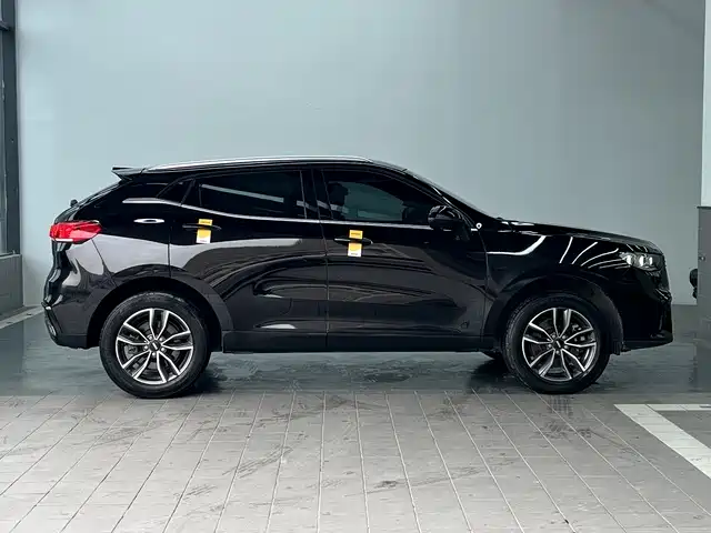 WEI PAI WEI BRAND VV5