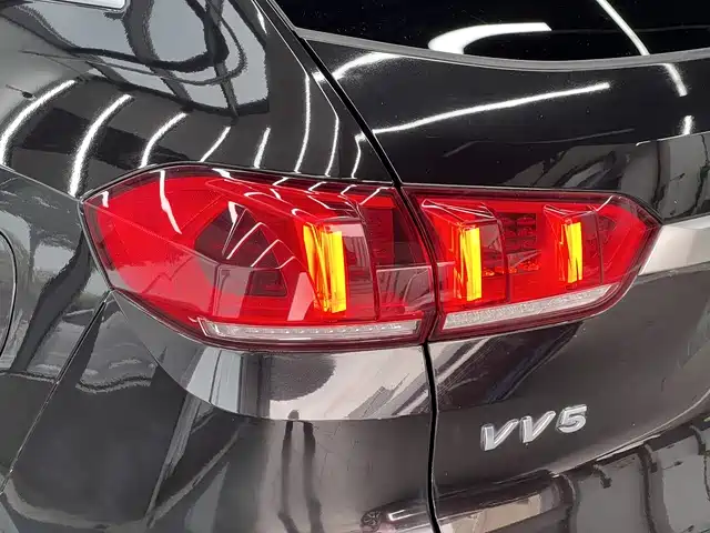 WEI PAI WEI BRAND VV5