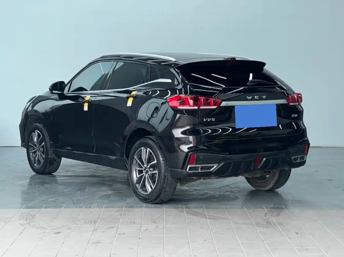 WEI PAI WEI BRAND VV5