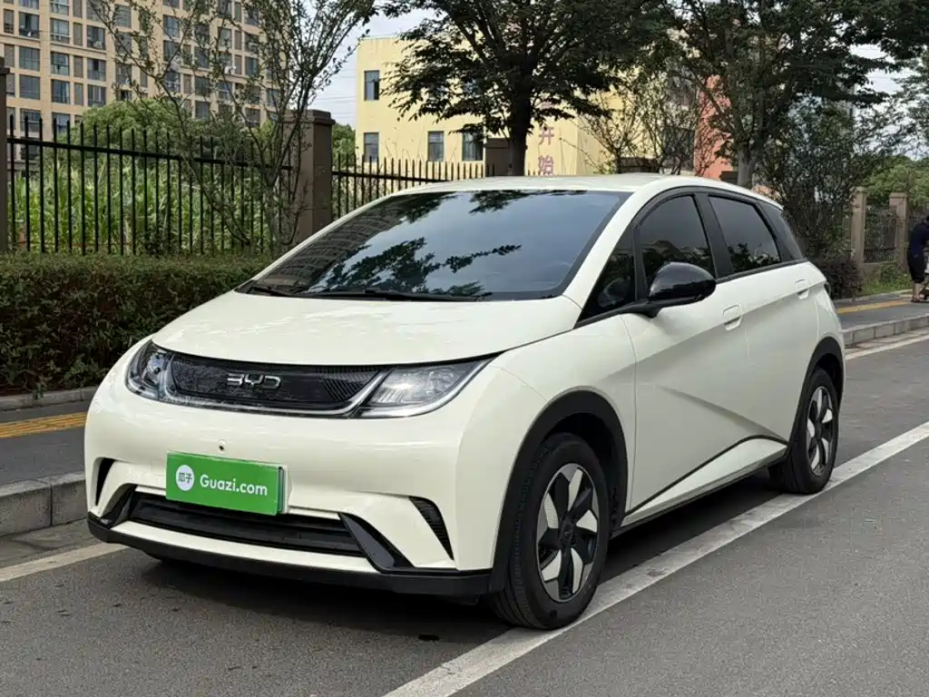 BYD Dolphin 2025 420km Freedom Edition