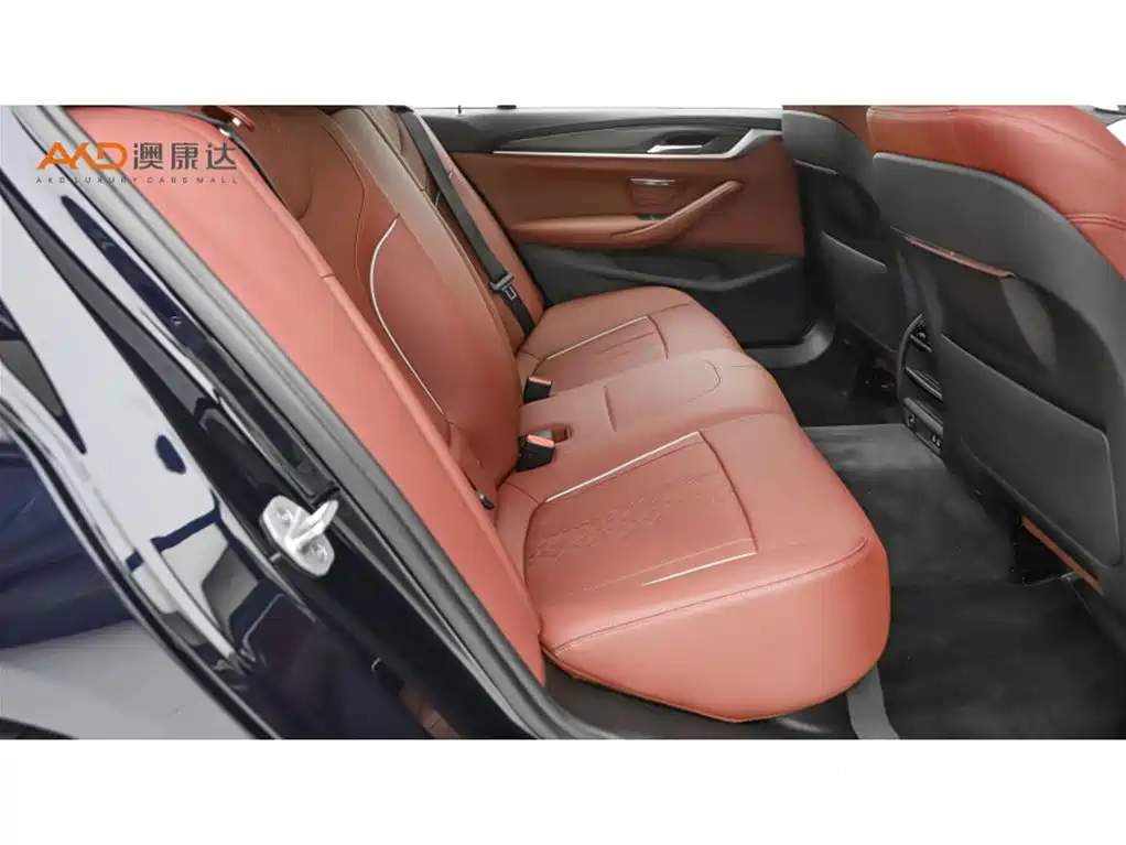 BMW 5 Series 2022 Facelift 530Li Leading Luxury Package фото 8