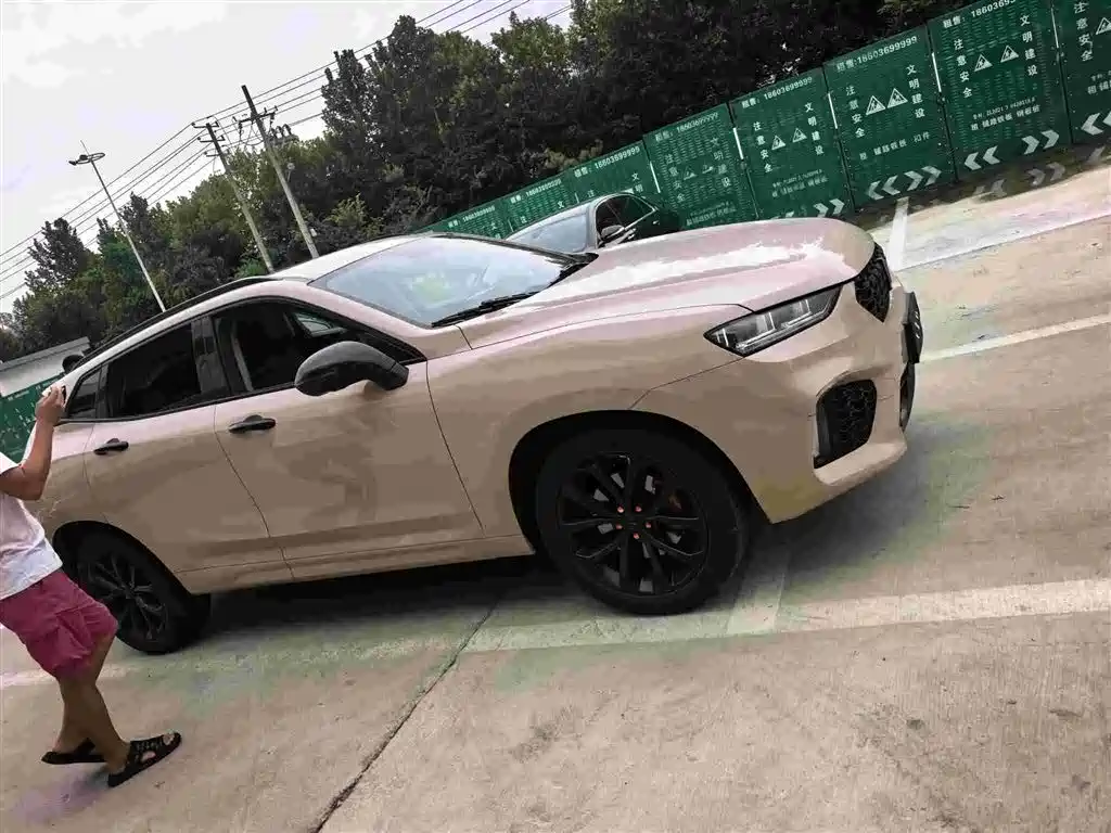 WEY VV7 2017 2017 2.0T Luxury