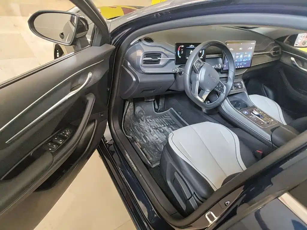 BYD Destroyer 05 2024 2024 Glory Edition DM-i 55KM Luxury
