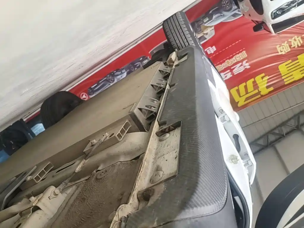 Geely Geometry EX3 Kung Fu Bull 2022 2021 Strong Bull