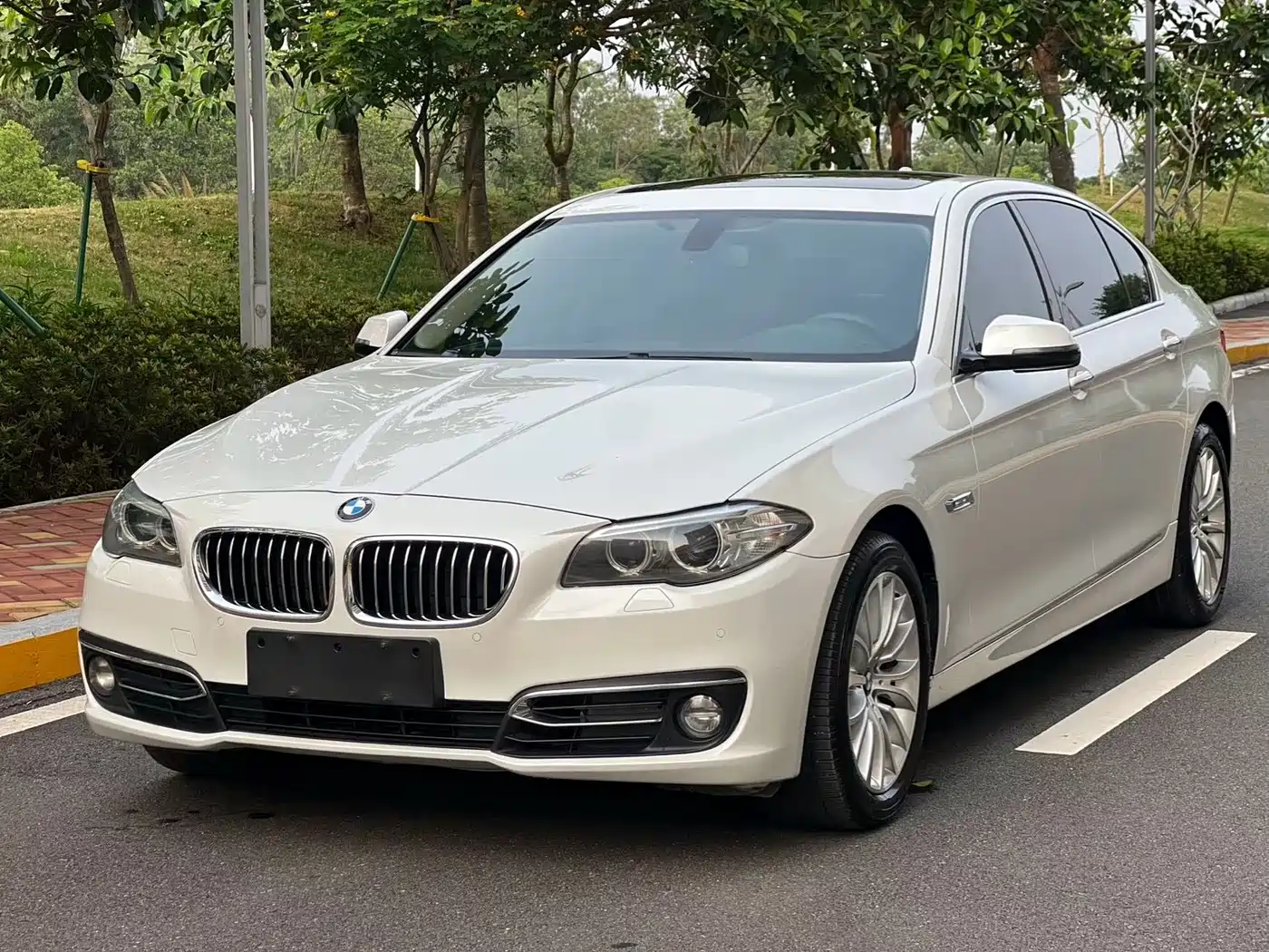 BMW 5 Series 2014 525Li Luxury Design Package