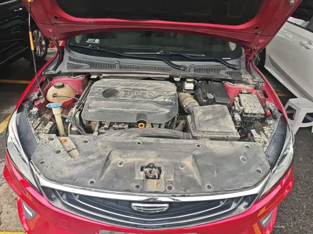 Фото 20 - Geely Binrui