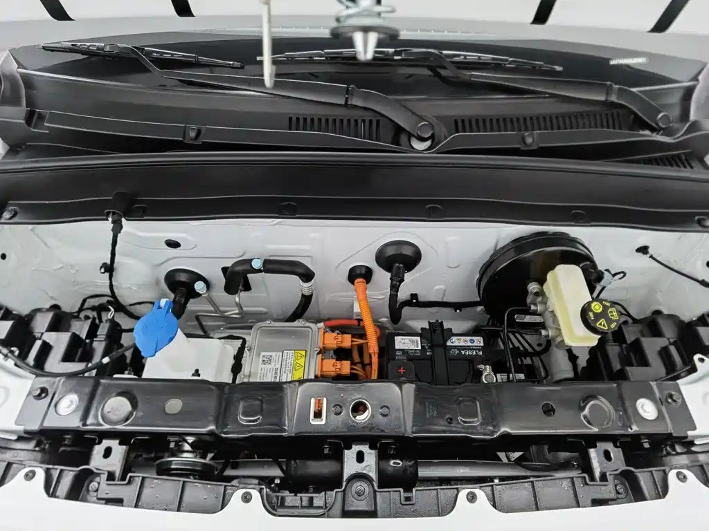 Geely Galaxy Panda 2026 2025 Panda mini 210km Vitality Bear