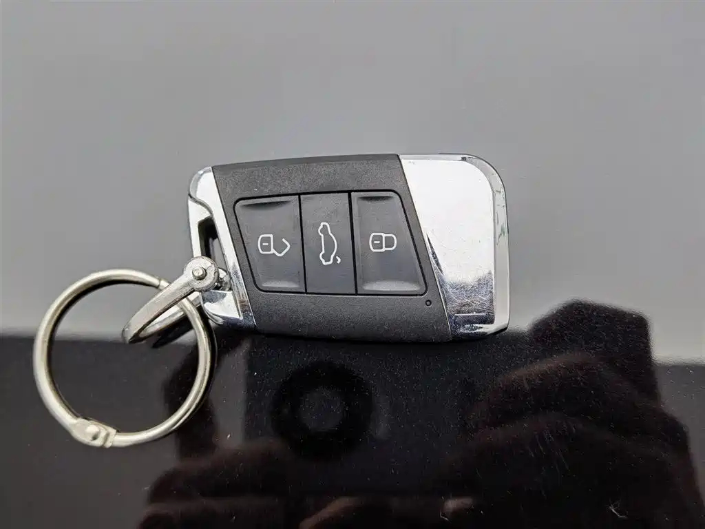 Volkswagen Magotan 2019 280TSI DSG Comfort China V фото 19