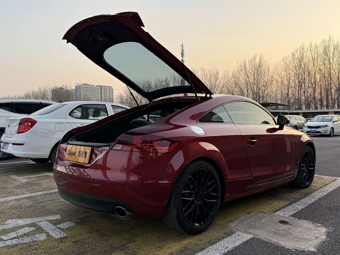 Audi TT 2008 Model TT 3.2 Quattro фото 13