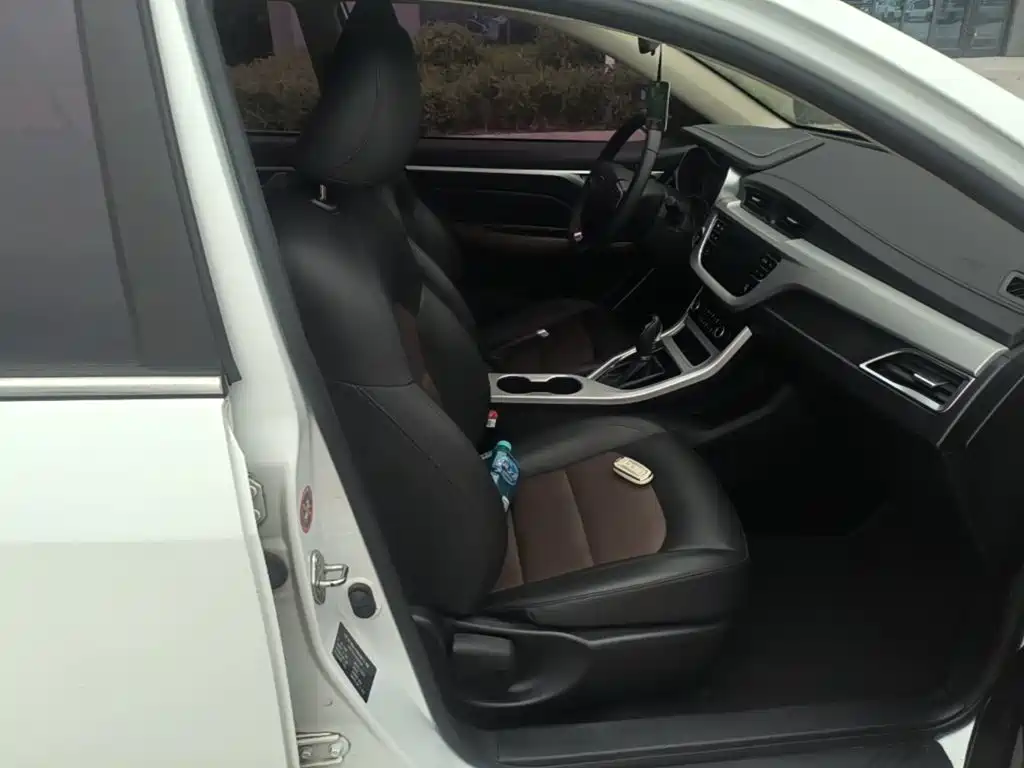 Фото 25 - Geely Vision