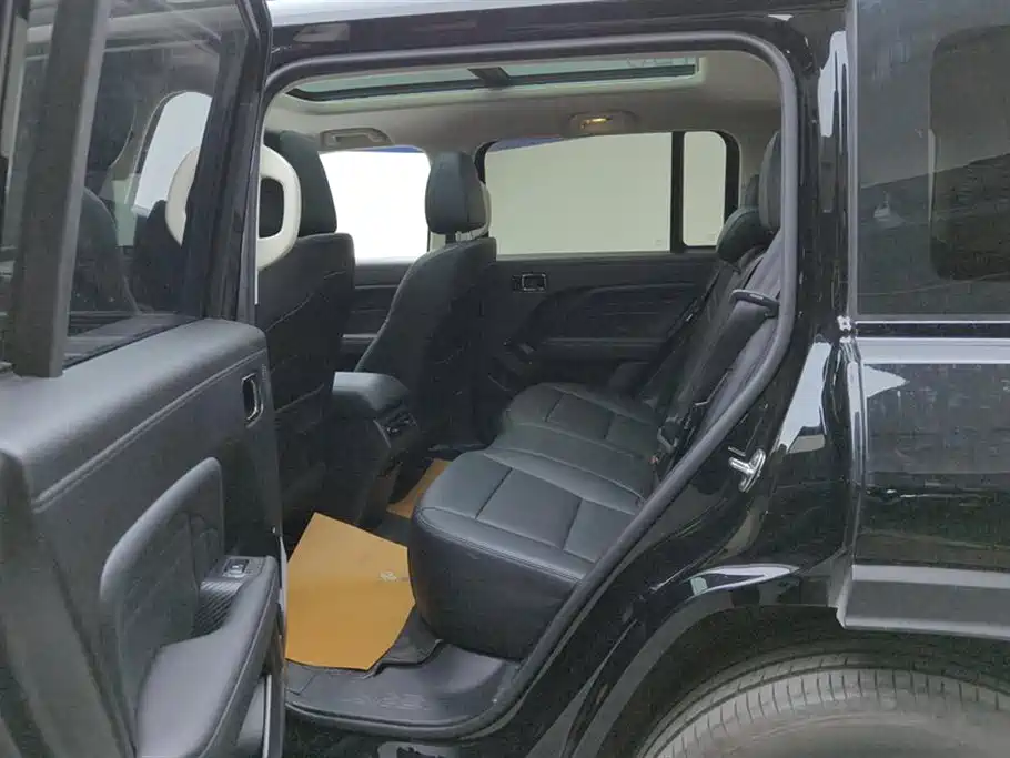 Haval Meng Long NEV 2024 Hi4 145 Pro фото 11