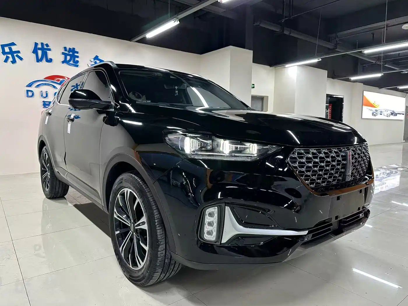 WEI PAI WEI BRAND VV6