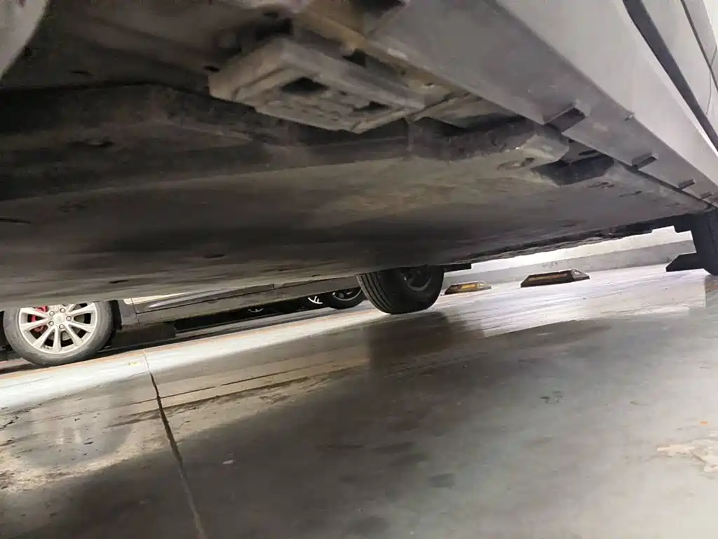 Geely Radar Radar King Kong 2025 2025 460km 4WD Standard Cargo Power Guardian
