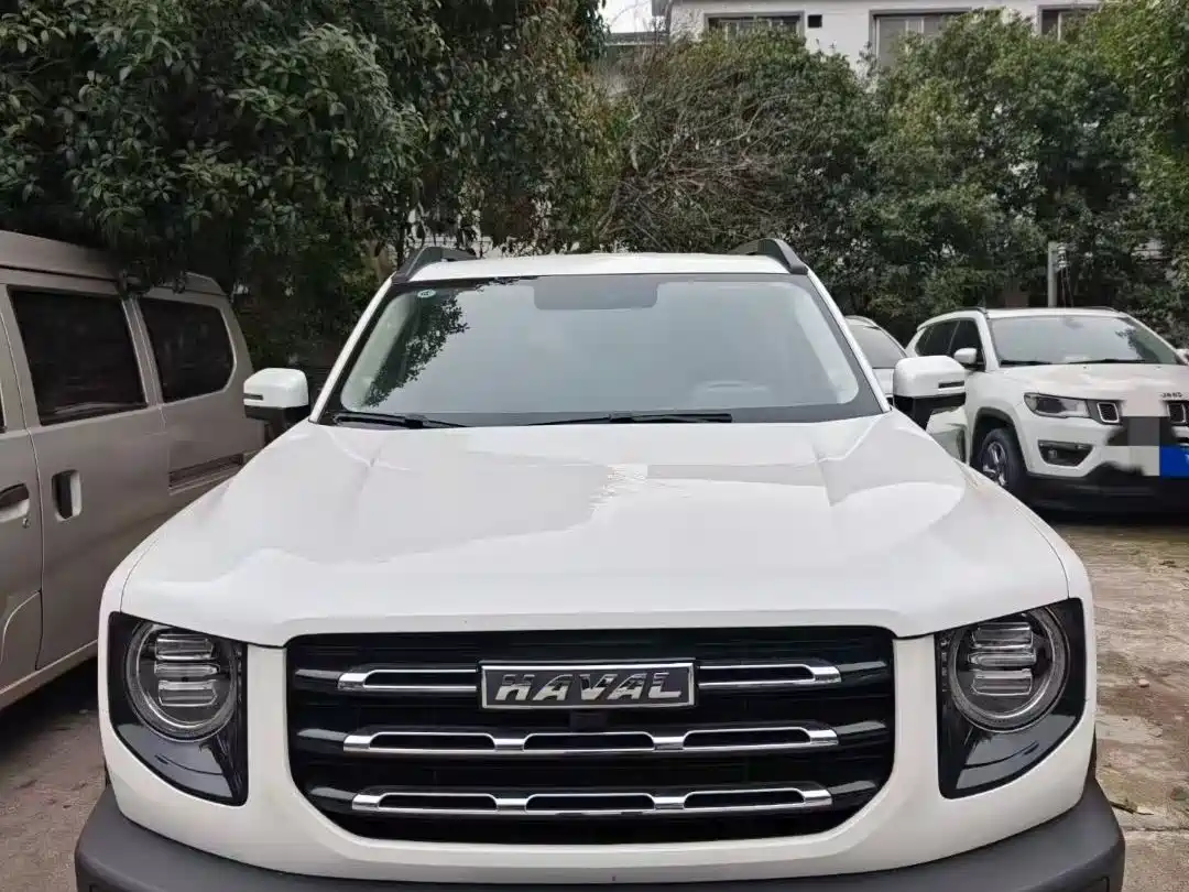 Haval Big Dog 2022 1.5T DCT FWD Husky Edition фото 3