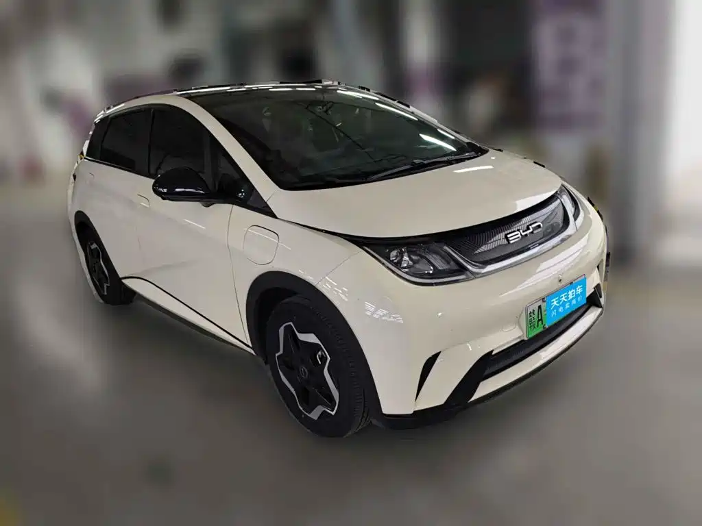 Фото 3 - BYD Dolphin