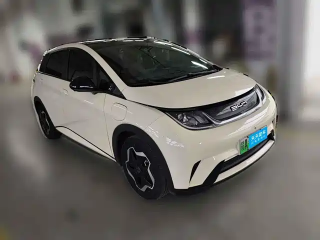 BYD Dolphin 2021 Model 405km Fashion Edition — фото 3