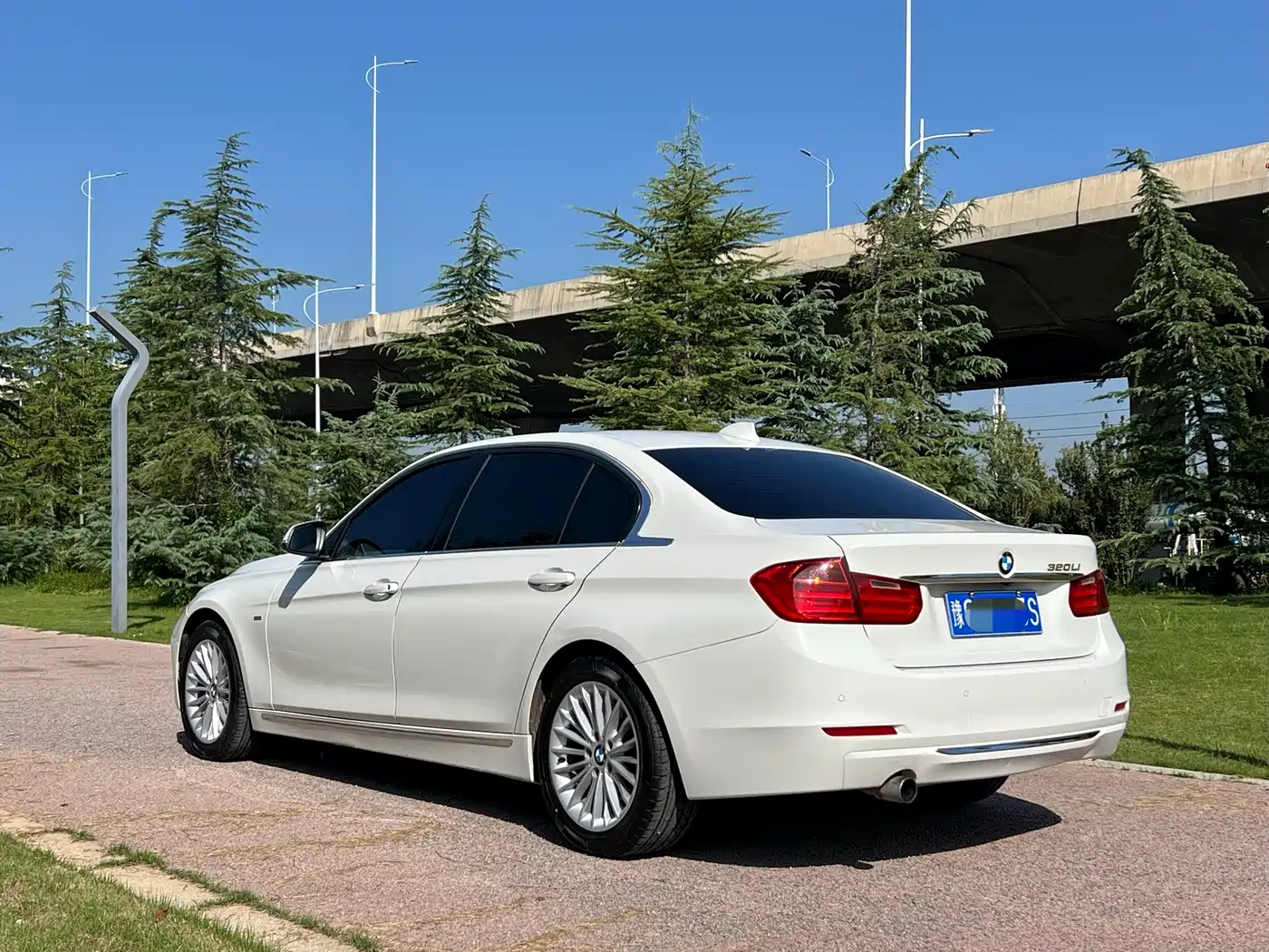 BMW 3 Series 2013 320Li Luxury Design Package фото 10