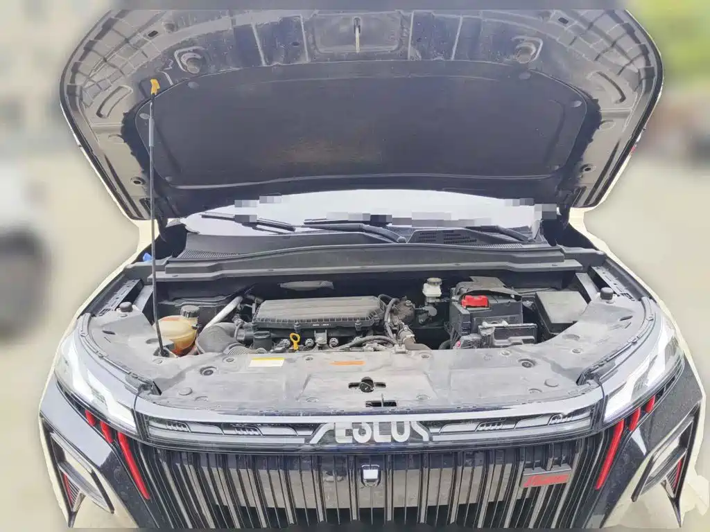Dongfeng Aeolus Haoji 2024 2024 Mach Power 1.5T Luxury