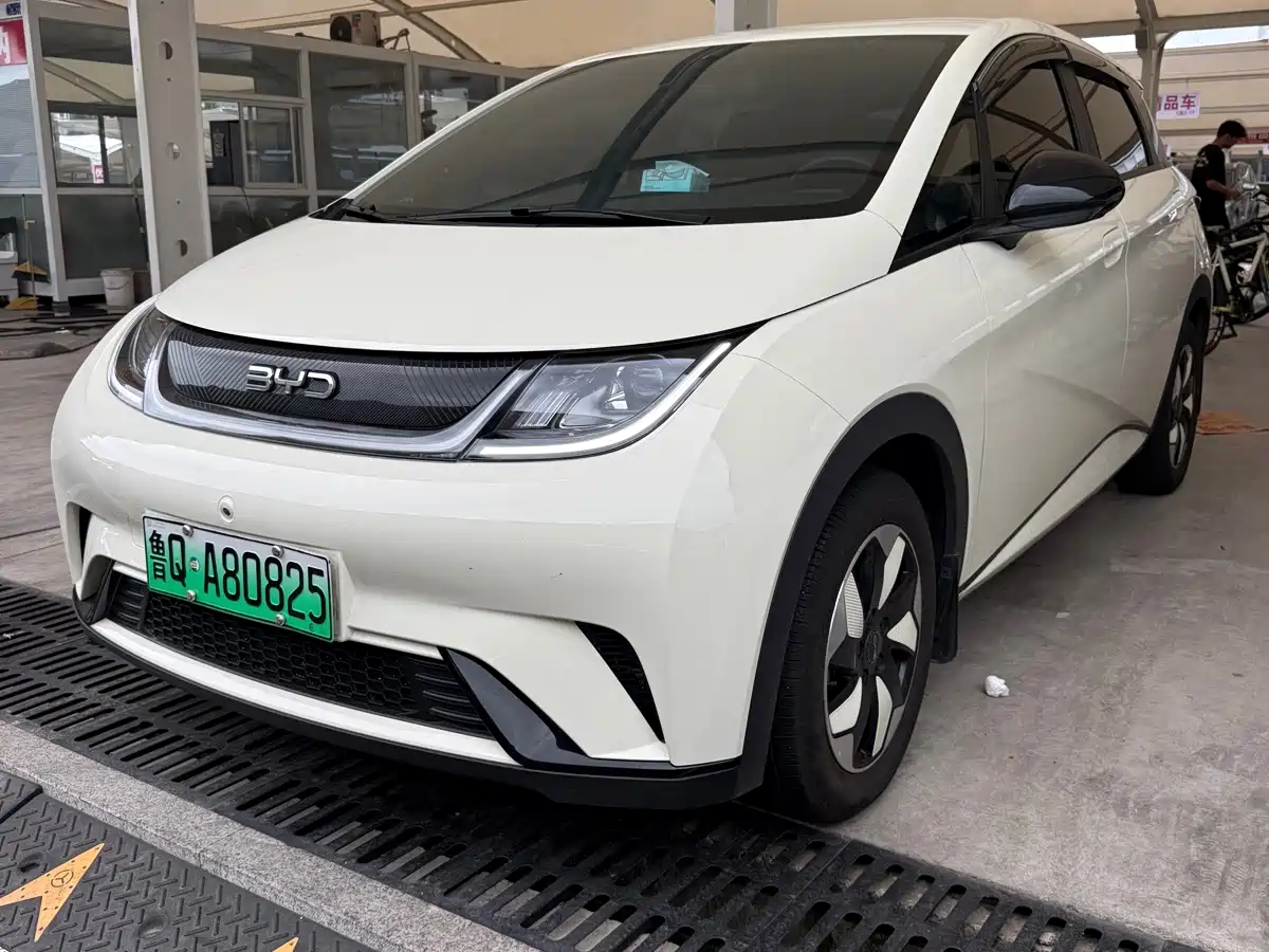 BYD Dolphin 2026 2025 420km Freedom Edition