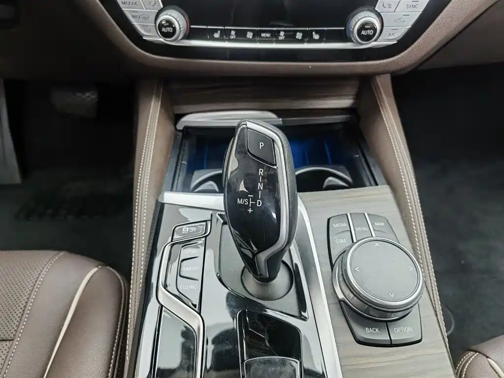 BMW 5 Series 2021 530Li Leading Luxury Package фото 13
