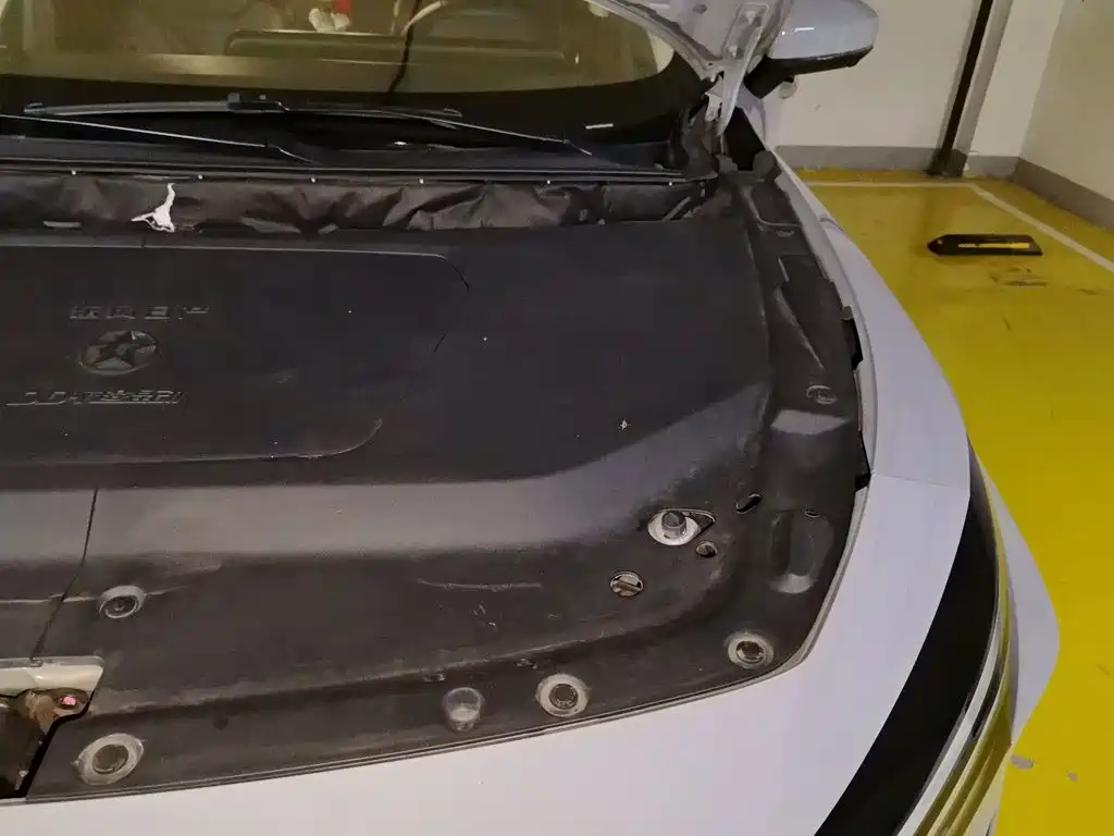 Venucia DaV DD-i 2024 2023 110km iE Edition